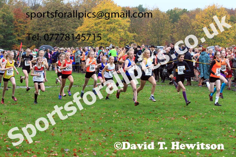 Girls under-13s, Start Fitness NEHL, Lambton Castle, Durham.  Photo: David T. Hewitson/Sports for All Pics